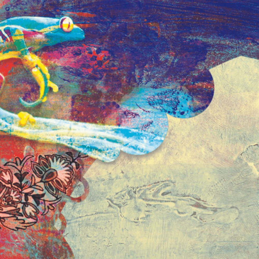 De-Kikkerkoning_2023